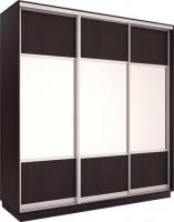 Шкаф-купе Евва 203VS.01 АЭП ШК.3 02 (венге/серебро)