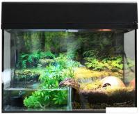 Террариум Lucky Reptile Стартовый комплект для амфибий SK50BP-B (черный)