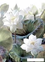 Фотообои Arthata листовые Fotooboi-33 (500x270)