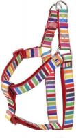 Шлея Doog Scooby HARMCS-M (многоцветный)
