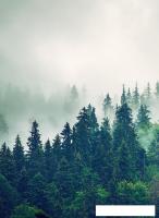 Фотообои Arthata листовые Fotooboi-2 (400x270)