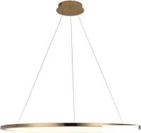 Подвесная люстра LOFT IT Ring 10014XL
