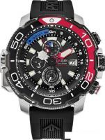 Наручные часы Citizen BJ2167-03E