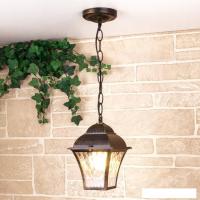 Уличный подвесной светильник Elektrostandard Apus H GL 1009H (черное золото)