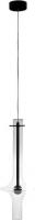 Подвесная люстра LOFT IT Tube 10061BK