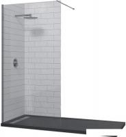 Душевая стенка RGW WA-010 80 (хром/прозрачное стекло)