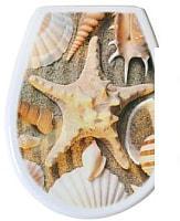 Сиденье для унитаза Bisk Lilia Foto 80379 (ракушка)