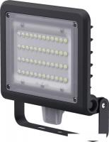 Уличный прожектор Navigator NFL-03-50-4K-BL-LED
