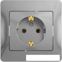 Розетка Schneider Electric Glossa GSL000342 (алюминий)