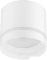 Точечный светильник ЭРА OL9 GX53 WH/WH Б0048541