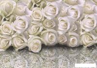 Фотообои Citydecor Розы с каплями росы 200x140