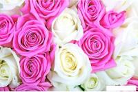 Фотообои Citydecor Букет роз 2 300x254