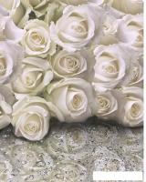 Фотообои Citydecor Розы с каплями росы 200x254