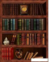 Фотообои Citydecor Библиотека 200x254