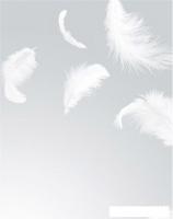Фотообои Citydecor Перышки 200x254