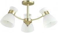 Люстра средней высоты Lumion Wilma 4535/3C