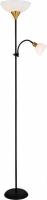 Торшер Arte Lamp Duetto A9569PN-2BK
