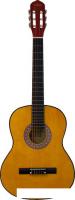 Акустическая гитара Belucci BC3905 OR