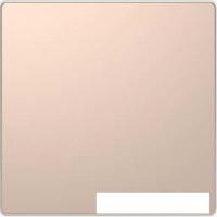 Клавиша для выключателя Schneider Electric Merten D-Life MTN3300-6051 (шампань)