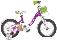 Детский велосипед AIST Skye 16 2022 (фиолетовый)
