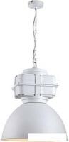 Подвесная люстра Lussole Loft LSP-9827