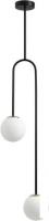 Подвесная люстра Odeon Light Ambi 4340/2