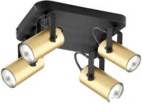 Припотолочная люстра TK Lighting TKC2821