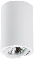 Спот Lightstar Rullo 214406
