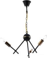 Подвесная люстра Aitin Pro НСБ RH8067/3 (черный/золото)
