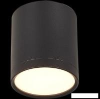 Точечный светильник ST Luce Rene