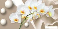 Фотообои Citydecor Цветочный декор 6 3D c защитным покрытием 500x254