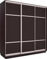 Шкаф-купе Евва 233 VS.03 АЭП ШК.3.01 (венге/серебро)