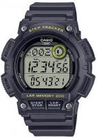 Наручные часы Casio WS-2100H-8A