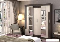 Шкаф-купе Стендмебель Фея (дуб белфорт/венге)