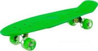 Пенниборд Полесье 89366 66 см (зеленый)