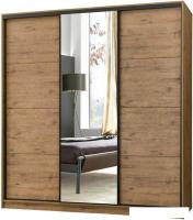 Шкаф-купе Рэйгрупп Bromo VVH3 02 РГ-07.02 B 237 VVH 237.5x220.5 (дуб велингтон)