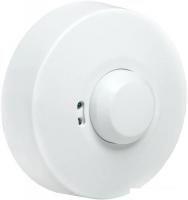 Датчик движения IEK ДД-МВ101