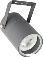Уличный прожектор Arte Lamp Mistero A3303AL-1GY