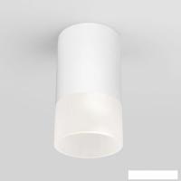 Уличный накладной светильник Elektrostandard Light 2106 35139/H (белый)