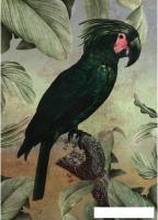 Картина Orlix Черный попугай CA-12801 80x60 см
