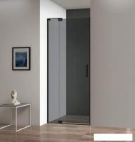 Душевая дверь Cezares SLIDER-B-1-100/110-GRIGIO-NERO