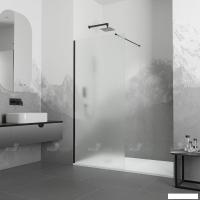 Душевая стенка RGW WA-010B 351001012-14 120 (черный/прозрачное стекло)