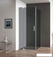 Душевой уголок Cezares SLIDER-AH-1-100-100/110-GRIGIO-Cr