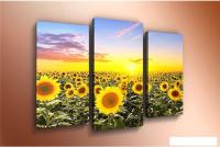 Модульная картина Arthata m-000416 120x80