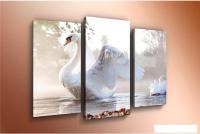 Модульная картина Arthata m-000443 75x50