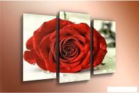 Модульная картина Arthata m-000571 120x80