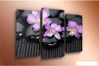 Модульная картина Arthata m-000619 90x60