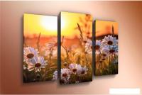 Модульная картина Arthata m-000451 90x60