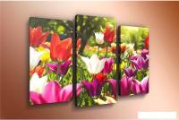 Модульная картина Arthata m-000256 90x60