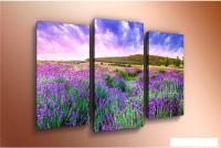 Модульная картина Arthata 5m-207 105x60